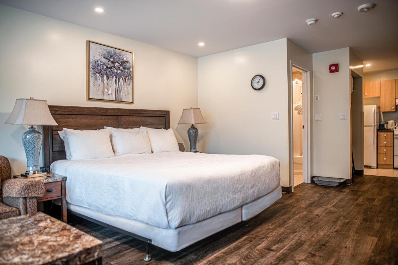 Executive Suite 1 King Bed 1 Queen Sofa Bed
