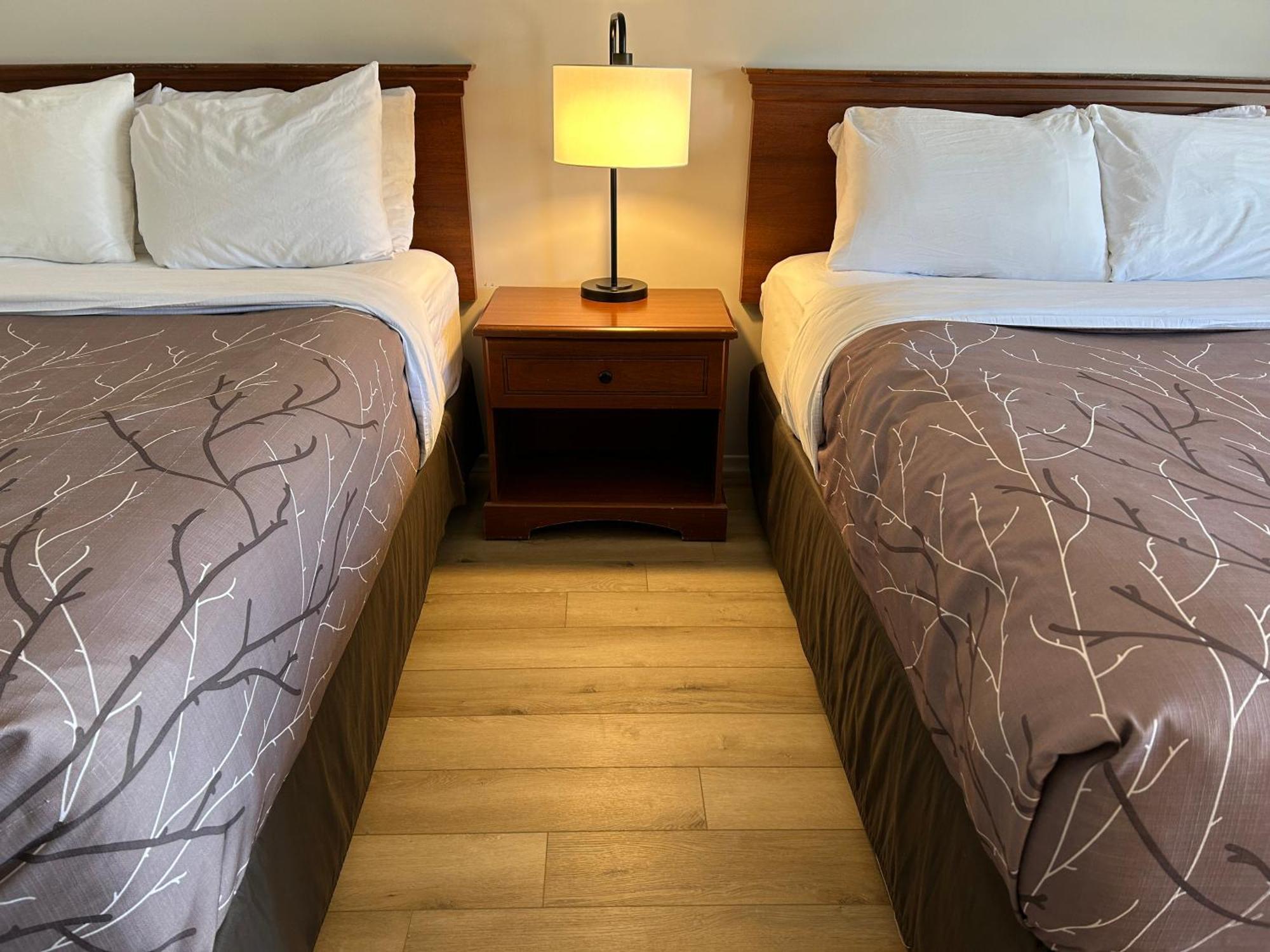 Double Room Two Double Beds