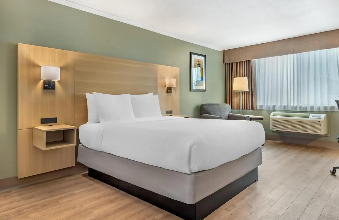 Best Western Plus Ottawa City Centre-1