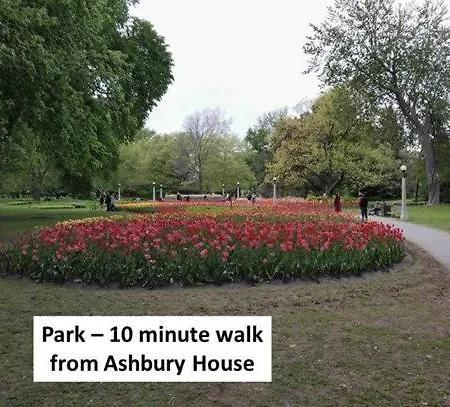 Ashbury House Bed & Breakfast-3